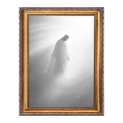 Light of the World